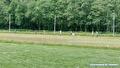 Skeeler clinic 1 en 2 juni 2026