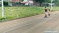 Skeeler clinic 1 en 2 juni 2026