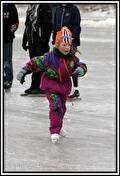 Kortebaanwedstrijden voor de jeugd 27 Januari 2010