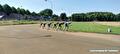 Training Development Team Frylan 17 juni 2025